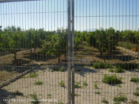 ++OCASION++TERRENO EN VENTA EN BUENA ZONA DE LA RIBERA DE MOLINA+ - MURCIA