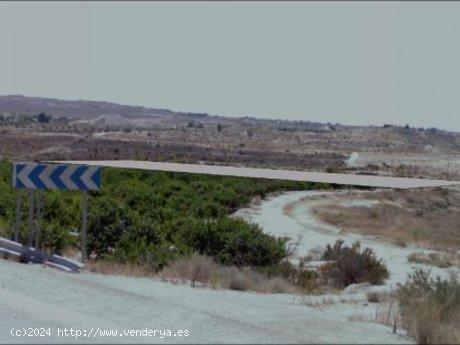 +SUELO RUSTICO A 100M DE LA CARRETERA DE MOLINA A FORTUNA++ - MURCIA