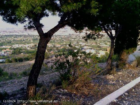 ++ESTUPENDO TERRENO URBANO++ - MURCIA