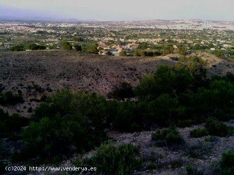 ++ESTUPENDO TERRENO URBANO++ - MURCIA