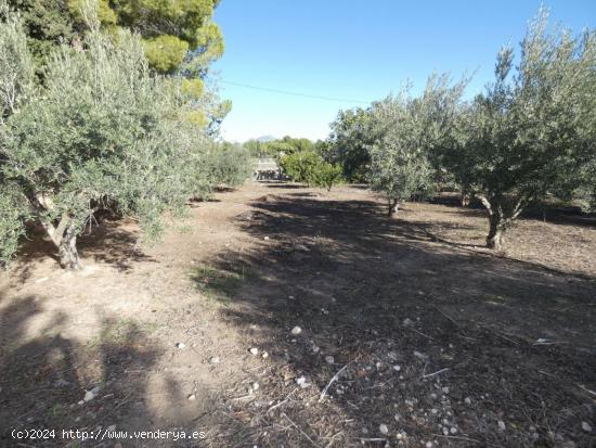 ++PARCELA DE 1.400M2 VALLADA CON PUERTA INDEPENDIENTE DE ENTRADA A LA PARCELA CON LUZ Y AGUA++ - MUR