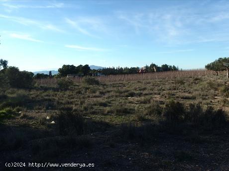 ++SOLAR INCLUIDO EN PLAN PARCIAL URBANIZACION LA BARRACA+ - MURCIA