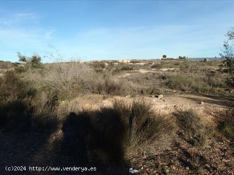 ++SOLAR INCLUIDO EN PLAN PARCIAL URBANIZACION LA BARRACA+ - MURCIA