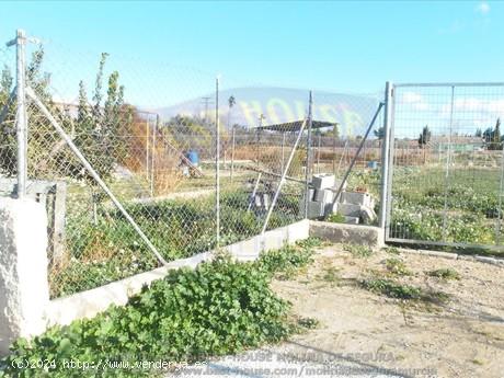 ++TERRENO AGRARIO, VALLADO, CON OLIVOS Y MELOCOTONEROS A 5 MINUTOS DE MOLINA DE SEGURA+ - MURCIA