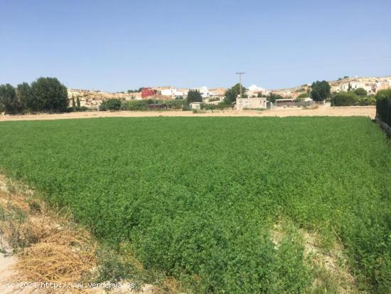 +Terreno no urbano en Molina de Segura zona Ribera de molina, 1118 m. superficie parcela++. - MURCIA