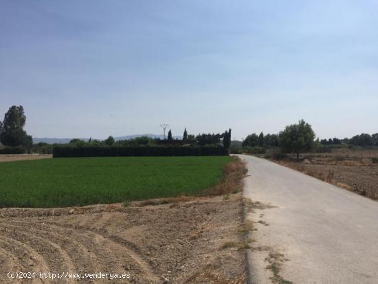 +Terreno no urbano en Molina de Segura zona Ribera de molina, 1118 m. superficie parcela++. - MURCIA