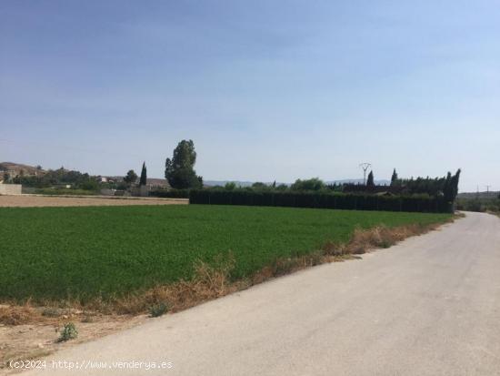 +Terreno no urbano en Molina de Segura zona Ribera de molina, 1118 m. superficie parcela++. - MURCIA