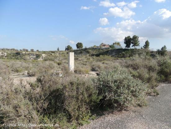 ++Terreno no urbano en carretera de molina de segura a fortuna, primera linea de carretera++ - MURCI