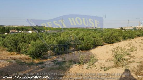 ++finca rustica en Las Torres de Cotillas++ 45.500 m. superficie parcela++ - MURCIA