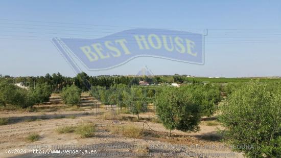 ++finca rustica en Las Torres de Cotillas++ 45.500 m. superficie parcela++ - MURCIA