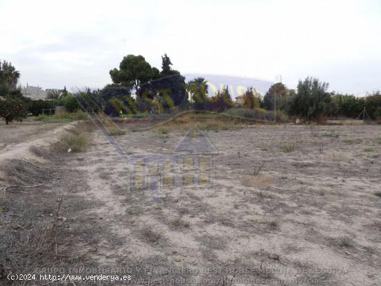 ++Terreno no urbano en Alguazas zona EL PARAJE DE ALQUAZAS,++ 1118 m - MURCIA