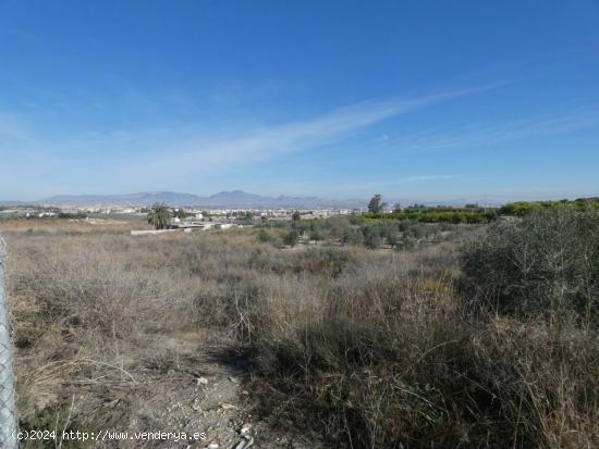 ++Terreno no urbano en Ceuti zona Ceutí, 8200 m. superficie parcela++. - MURCIA