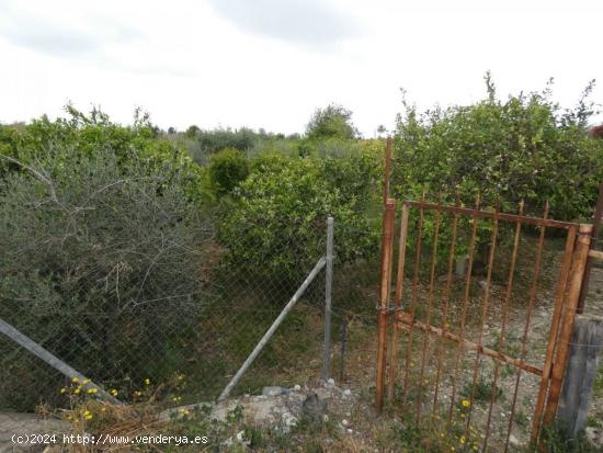 Terreno no urbano en Alguazas, 1200 m. - MURCIA