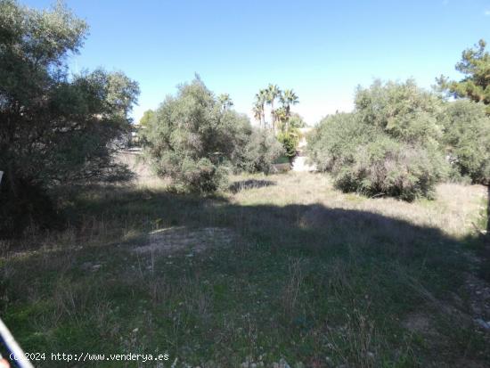 ++Terreno urbano en Molina de Segura zona LOS Conejos, ++1000 m - MURCIA