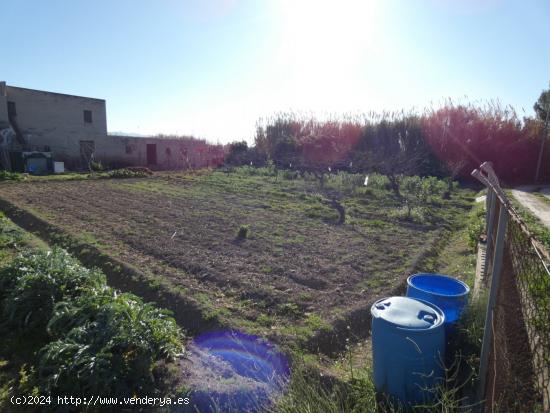  ++Terreno rustico en Molina de Segura zona Huerta,++ 1118 m - MURCIA 