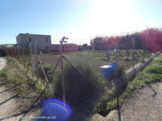 ++Terreno rustico en Molina de Segura zona Huerta,++ 1118 m - MURCIA