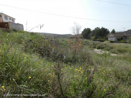 ++Terreno urbano en Molina de Segura zona Ribera de molina++, 1652 m. - MURCIA