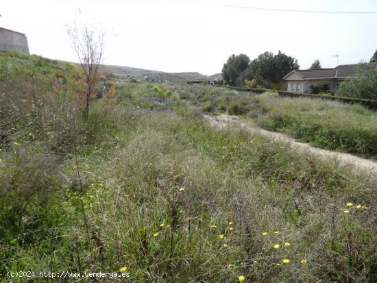 ++Terreno urbano en Molina de Segura zona Ribera de molina++, 1652 m. - MURCIA