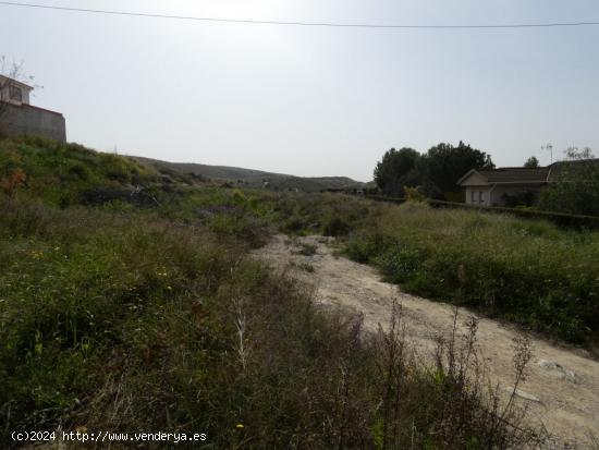 ++Terreno urbano en Molina de Segura zona Ribera de molina++, 1652 m. - MURCIA