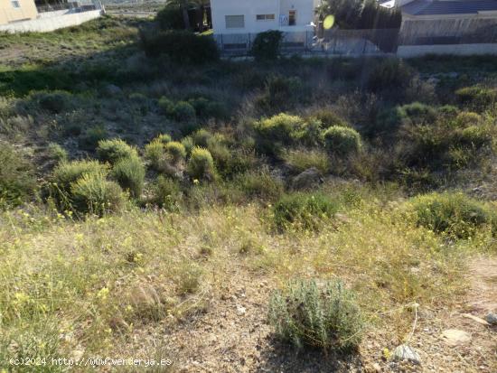 ++Terreno urbano en Molina de Segura zona urbanizacion  El chorrico IV++, 810 m - MURCIA