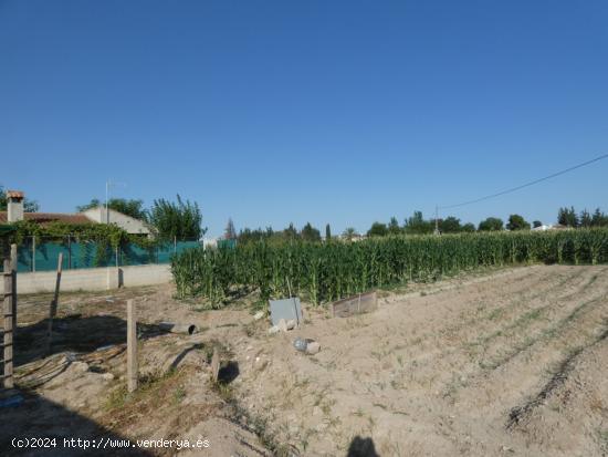  ++Terreno no urbano en Alguazas++ zona EL PARAJE DE ALQUAZAS, 2040 m. superficie parcela - MURCIA 