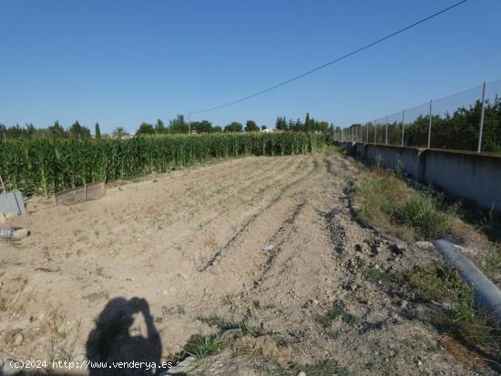 ++Terreno no urbano en Alguazas++ zona EL PARAJE DE ALQUAZAS, 2040 m. superficie parcela - MURCIA