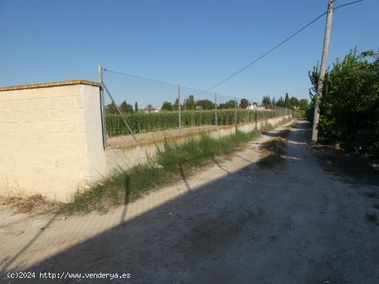 ++Terreno no urbano en Alguazas++ zona EL PARAJE DE ALQUAZAS, 2040 m. superficie parcela - MURCIA