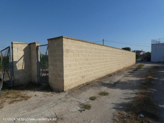 ++Terreno no urbano en Alguazas++ zona EL PARAJE DE ALQUAZAS, 2040 m. superficie parcela - MURCIA