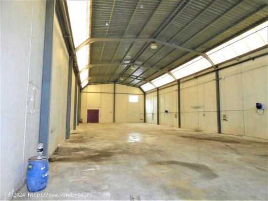  ++Nave industrial en Molina de Segura poligono industrial la serreta++, 447 m - MURCIA 