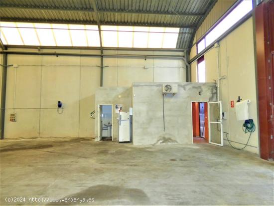 ++Nave industrial en Molina de Segura poligono industrial la serreta++, 447 m - MURCIA