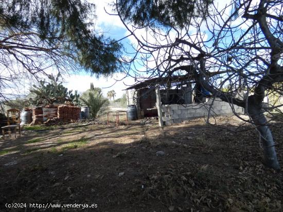 ++Terreno urbano especial huerta en Molina de Segura zona Huerta++, 3700 m - MURCIA