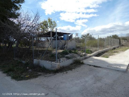 ++Terreno urbano especial huerta en Molina de Segura zona Huerta++, 3700 m - MURCIA