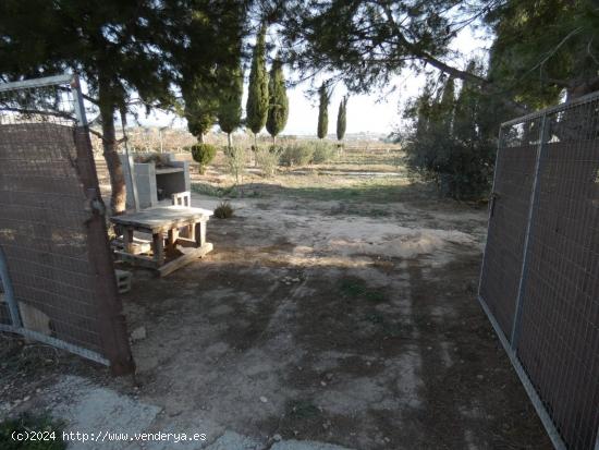 ++Terreno rustico en Ceuti los torraos++ 2 tahullas - MURCIA