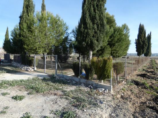 ++Terreno rustico en Ceuti los torraos++ 2 tahullas - MURCIA