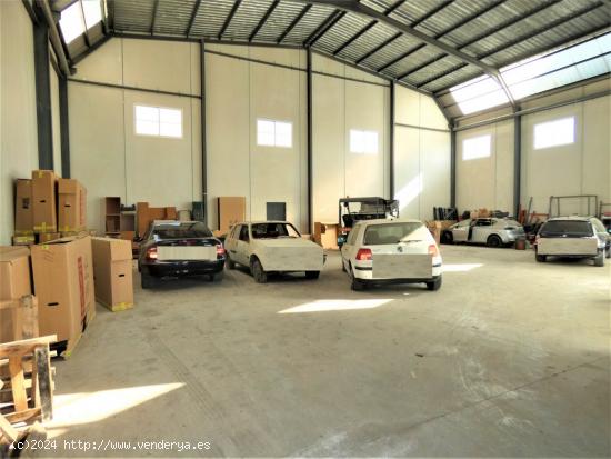 ++Nave industrial en poligono industrial el cortijo alguazas++ 300m, - MURCIA