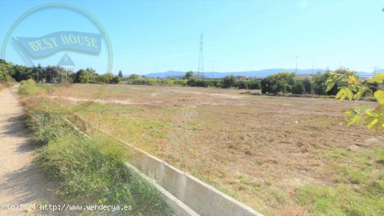 ++Terreno rustico en Puebla de Soto lindando con alcantarilla++, 4472 m - MURCIA