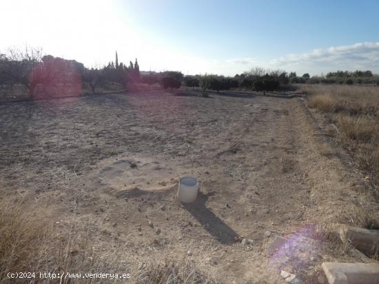 ++Terreno rustico en Molina de Segura zona Huerta, torre de montijo++ 942 m - MURCIA