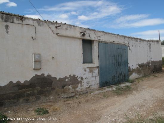 ++Finca rustica en Sangonera la Seca ++ - MURCIA