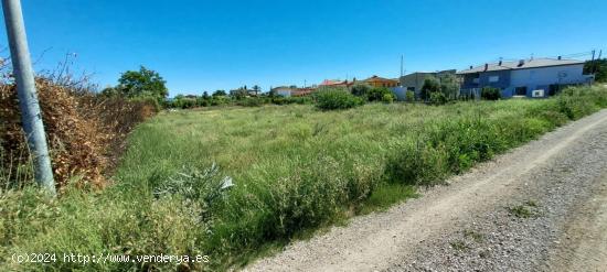 ++Terreno rustico en Alguazas zona Huerta++, 1454 m - MURCIA