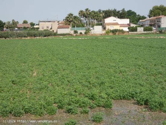 ++Terreno no urbano en Alguazas zona El Paraje++, 1513 m - MURCIA