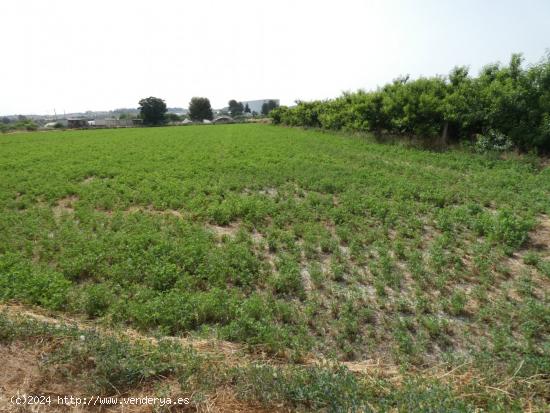 ++Terreno no urbano en Alguazas zona El Paraje++, 1513 m - MURCIA