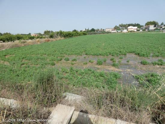 ++Terreno no urbano en Alguazas zona El Paraje++, 1513 m - MURCIA