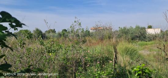 ++Terreno no urbano en Molina de Segura zona El Paraje++, 500 m. - MURCIA