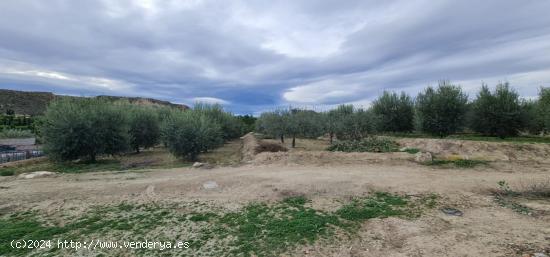 ++Terreno rural en Villanueva del Rio Segura++ 2795 m - MURCIA