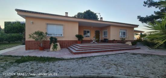 ++Chalet en Molina de Segura zona Los Valientes++, 330 m. de superficie, 2600 m parcela - MURCIA