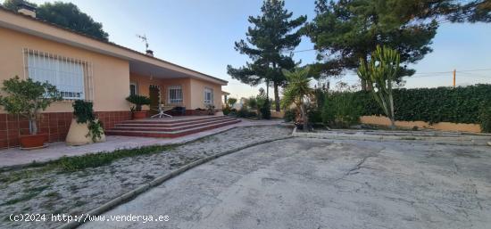 ++Chalet en Molina de Segura zona Los Valientes++, 330 m. de superficie, 2600 m parcela - MURCIA