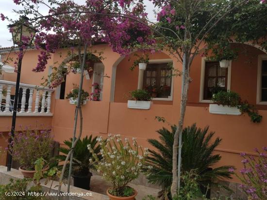 Se vende finca con viviendas y bodega separadas - SANTA CRUZ DE TENERIFE