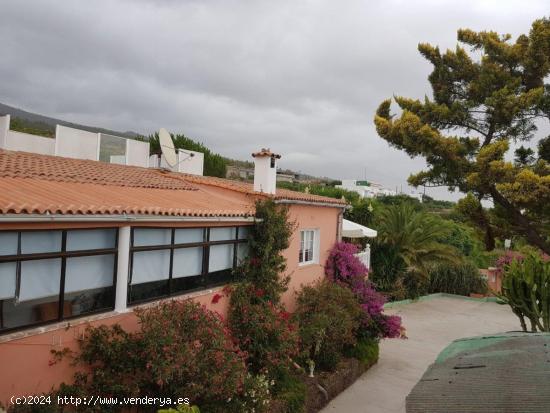 Se vende finca con viviendas y bodega separadas - SANTA CRUZ DE TENERIFE