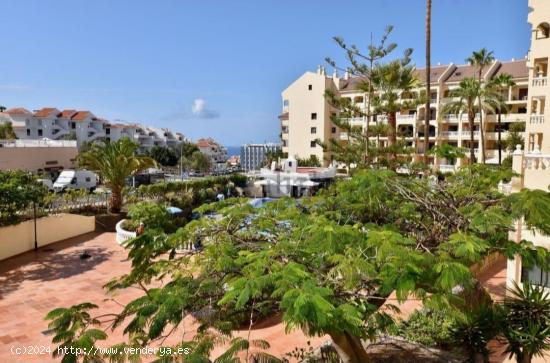 Se vende apartamento de un dormitorios en Castle Harbour Los Cristianos - SANTA CRUZ DE TENERIFE