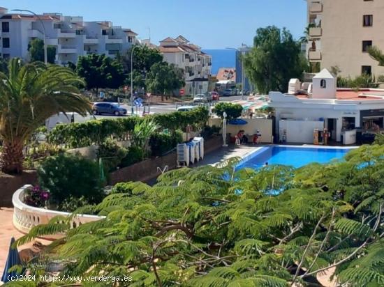 Se vende apartamento de un dormitorios en Castle Harbour Los Cristianos - SANTA CRUZ DE TENERIFE